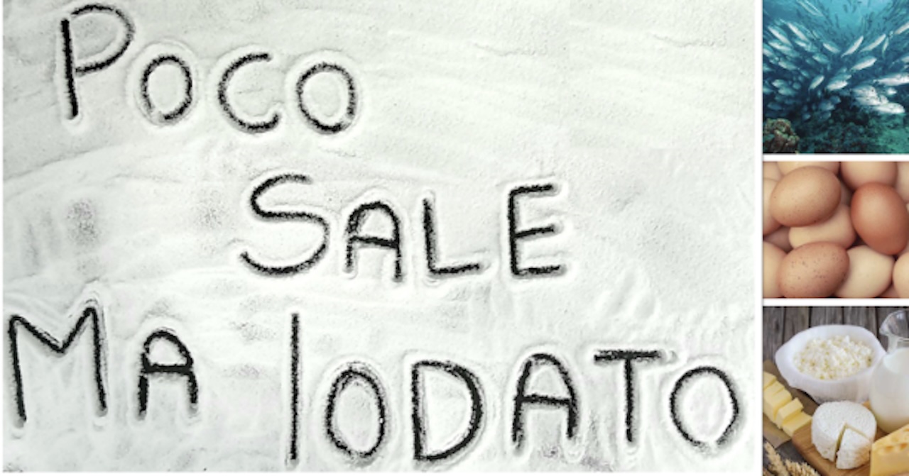 Copertina: 2026 Corso FAD da 16 crediti ECM 'Nutrizione e prevenzione dei